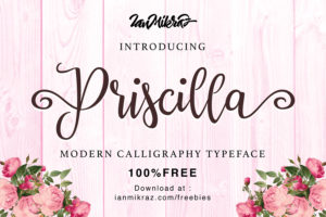 Graphic Ghost - Priscilla Script Typeface