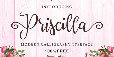 Graphic Ghost - Priscilla Script Typeface