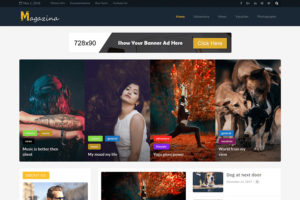 Graphic Ghost - Magazina - WordPress Magazine Theme