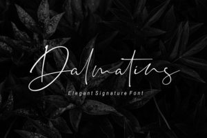 Graphic Ghost - Dalmatins Signature Font