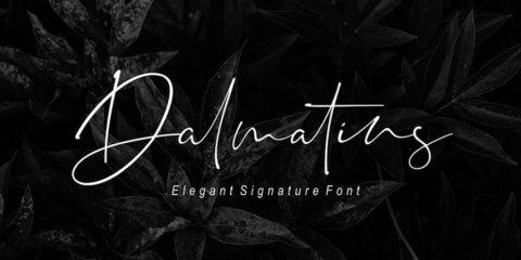 Graphic Ghost - Dalmatins Signature Font