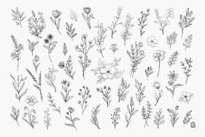 Graphic Ghost - Wild Flower Illustrations