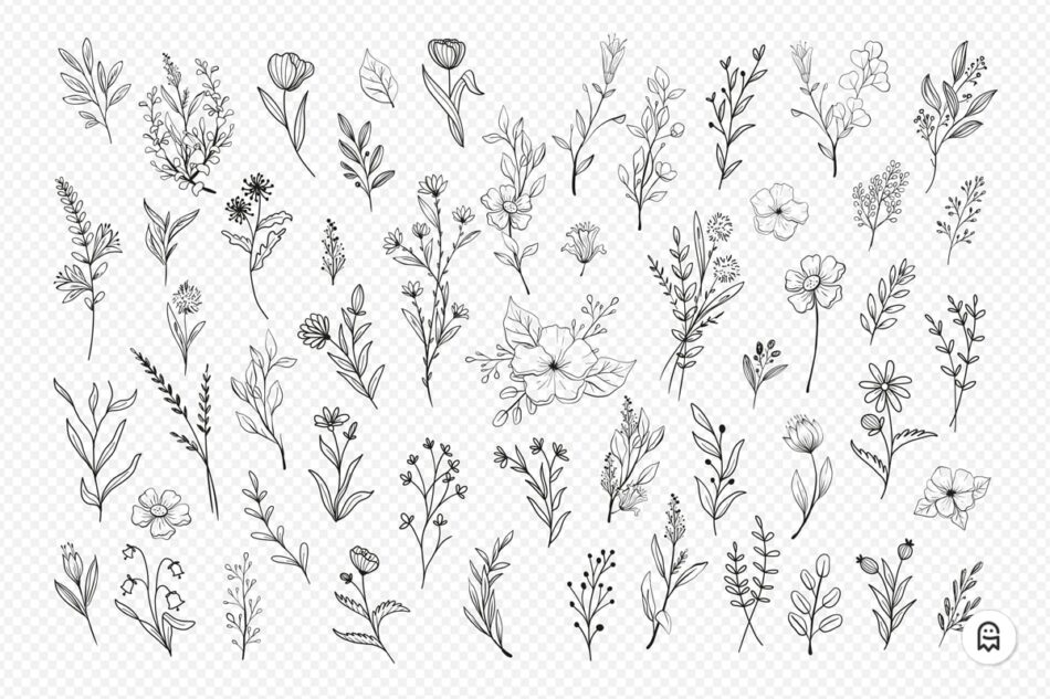 Graphic Ghost - Wild Flower Illustrations
