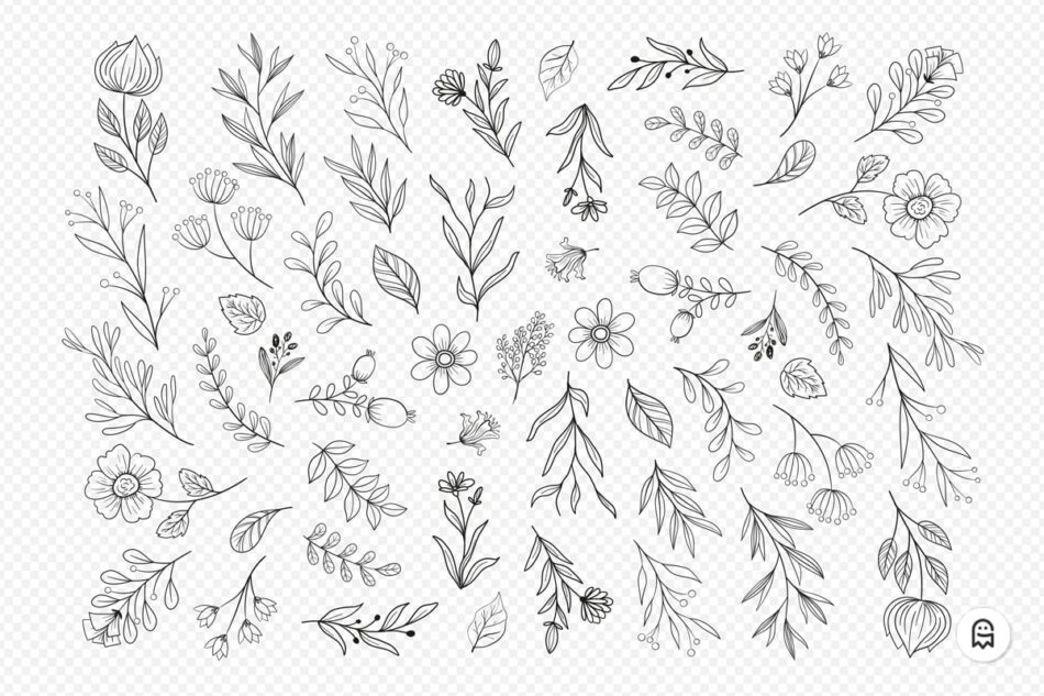 Graphic Ghost - Wild Flower Illustrations 2